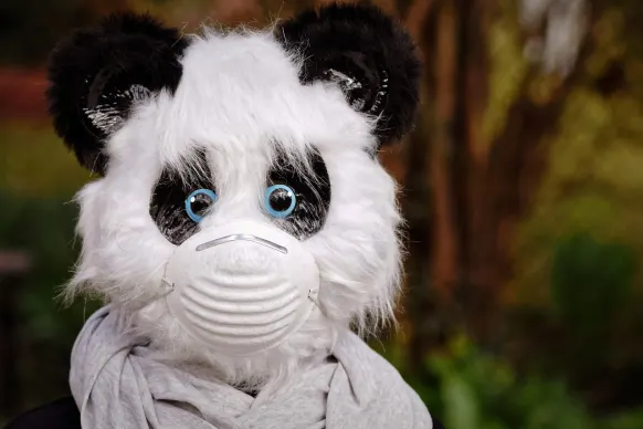 Rollers Casino Tacaíocht